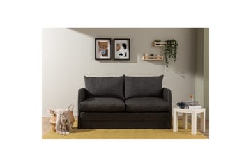 2-sits bäddsoffa Rubby (148 x 70 x 66 cm) Mörkgrå - Mörkgrå - Möbler - Soffa - Bäddsoffa - 2 sits bäddsoffa