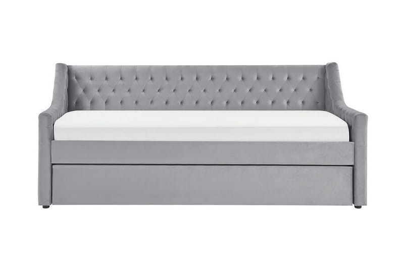 Dagbädd 90 x 200 cm sammet grå MONTARGIS, Grå