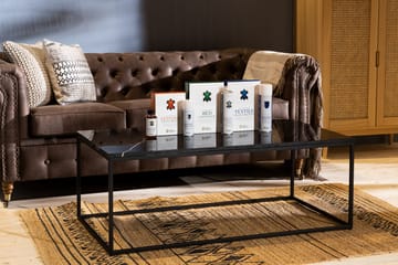 Soffa Chester Deluxe 2-sits - Mörkbrun - Möbler - Soffa - Howardsoffa
