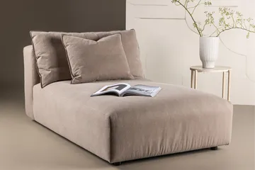 Malö Dagbädd med Ryggstöd 169x100 cm - Brun - Möbler - Soffa - Dagbädd