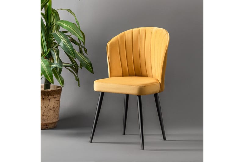 Dariel Matstol - Möbler - Fåtölj & stolar - Matstol & köksstol