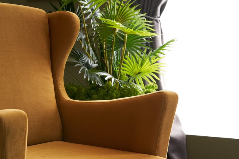 Edgara Fåtölj - Sammet/Guld/Natur - Möbler - Fåtölj & stolar - Fåtölj - Sammetsfåtölj