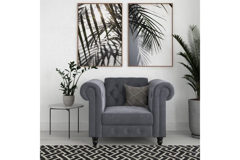 Fåtölj Felix Antracit, Sammet/Trä/Metall - Antracit, Sammet/Trä/Metall - Möbler - Fåtölj & stolar - Fåtölj