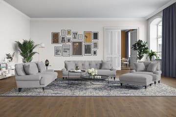 Loveseat Webber - Ljusgrå|Krom - Möbler - Fåtölj & stolar - Fåtölj