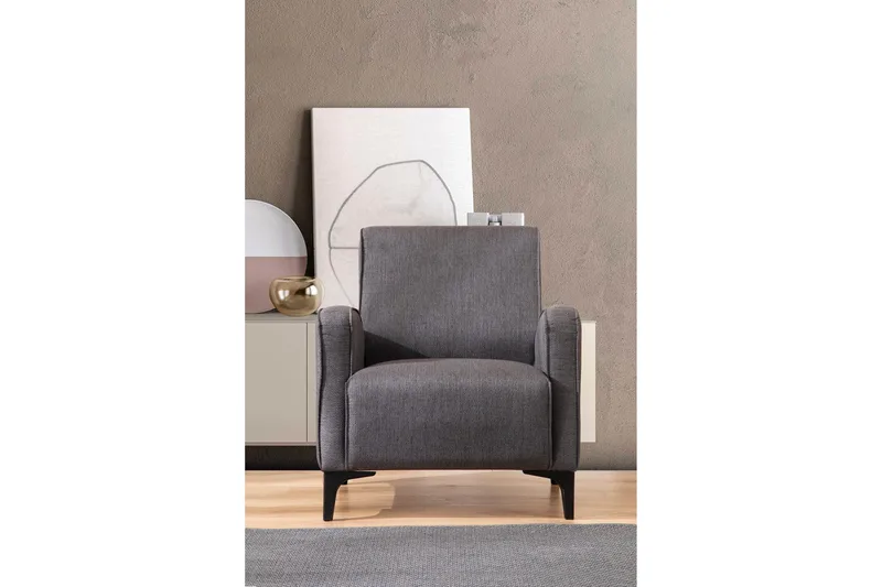 Mississauga Fåtölj, Antracit