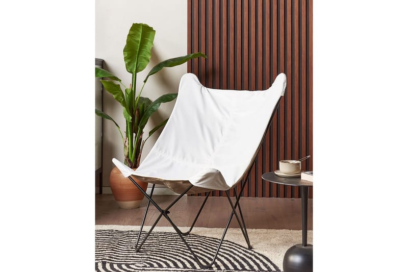 Fåtölj Nybro - Vit, Svart/Sammet - Möbler - Fåtölj & stolar - Fåtölj