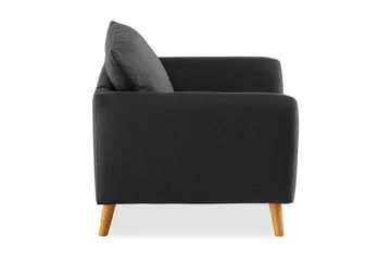 Trend Fåtölj - Svart - Möbler - Fåtölj & stolar - Fåtölj