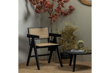 Matstol Gunn - Möbler - Fåtölj & stolar - Karmstol