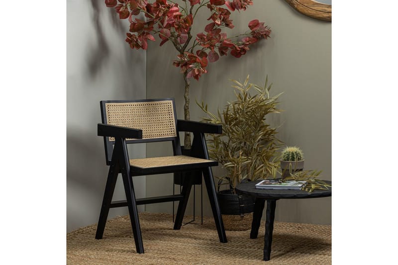 Matstol Gunn - Möbler - Fåtölj & stolar - Karmstol