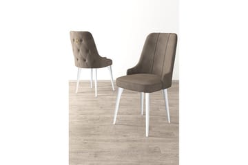 Matstol Jebi Cappuccino / vit - Cappuccino / vit - Möbler - Fåtölj & stolar - Matstol & köksstol