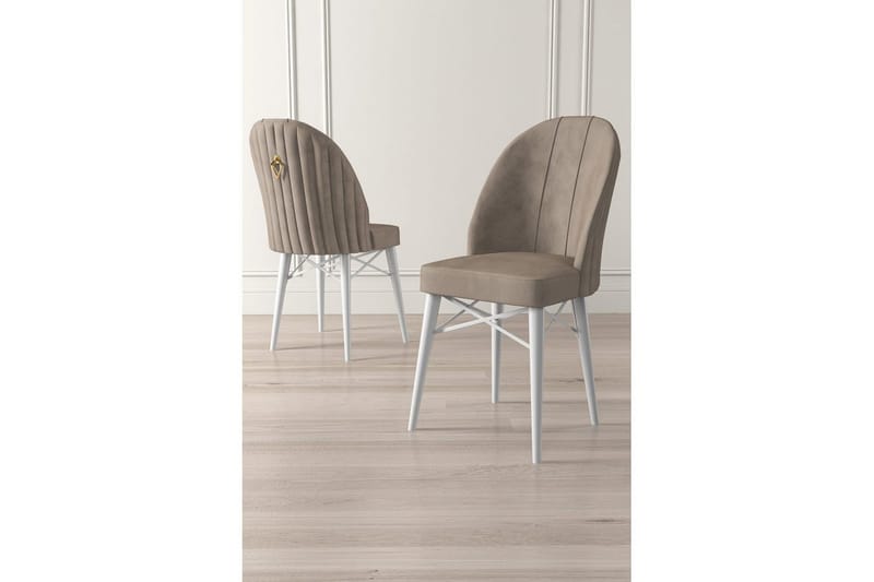 Matstol Ritim Cappuccino / vit - Cappuccino / vit - Möbler - Fåtölj & stolar - Matstol & köksstol