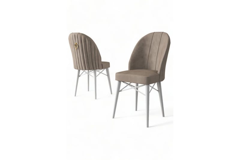 Matstol Ritim Cappuccino / vit - Cappuccino / vit - Möbler - Fåtölj & stolar - Matstol & köksstol