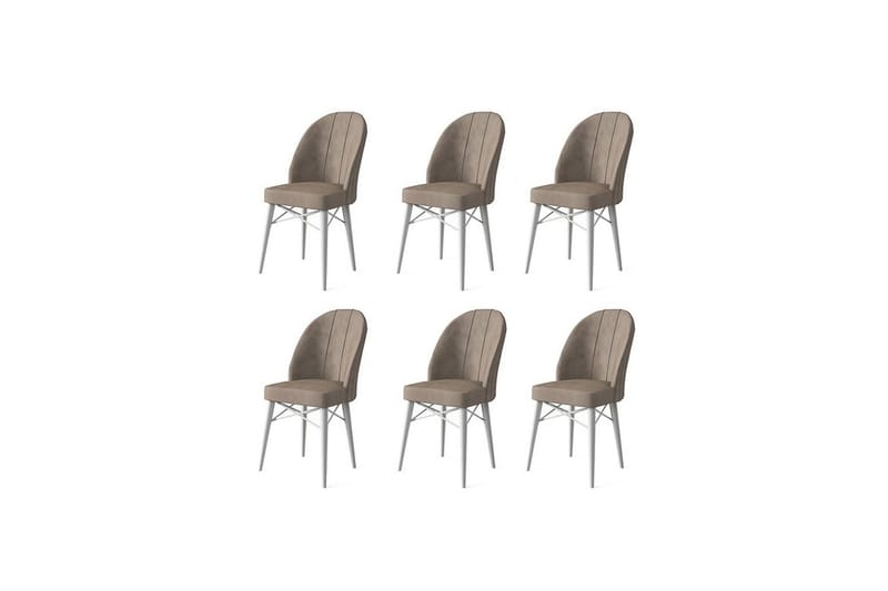 Matstol Ritim Cappuccino / vit - Cappuccino / vit - Möbler - Fåtölj & stolar - Matstol & köksstol