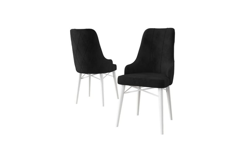 Matstol Puntoz Svart / Vit, Svart / Vit