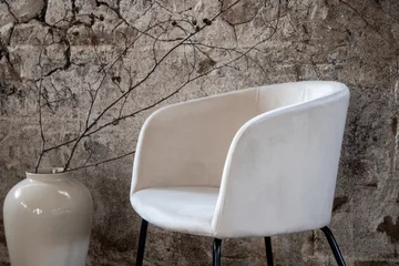 Berit Karmstol Sammet med Armstöd - Vit/Svart - Möbler - Fåtölj & stolar - Matstol & köksstol