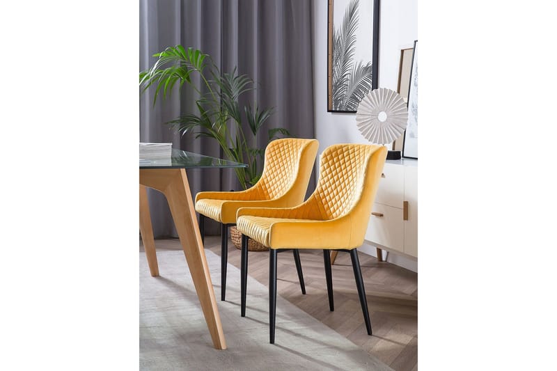 Colino Stol 2-Pack Sammet - Gul - Möbler - Fåtölj & stolar - Matstol & köksstol