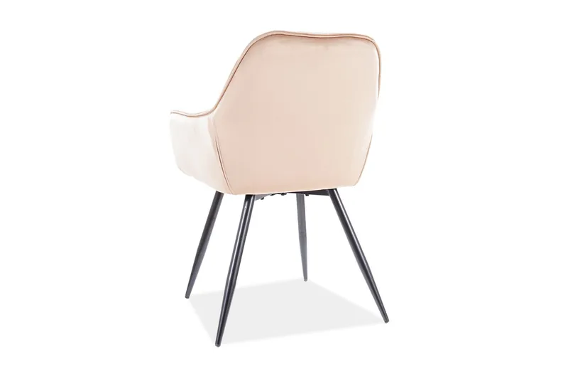 Eiber Karmstol - Sammet/Beige/Svart - Möbler - Fåtölj & stolar - Matstol & köksstol