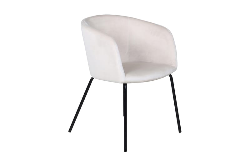 Karmstol Beraid Sammet/Beige/Svart - Karmstol - Matstol & köksstol