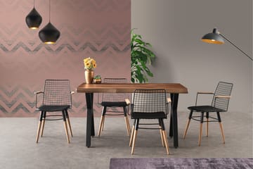 Matstol Trendel 2-Pack - Svart/Valnöt - Möbler - Fåtölj & stolar - Matstol & köksstol