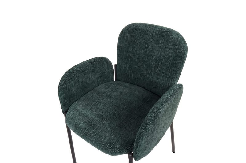 Set med 2 matstolar Albee - Grön, Svart - Möbler - Fåtölj & stolar - Matstol & köksstol