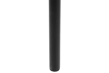 Set med 2 matstolar Ames - Vit, Svart - Möbler - Fåtölj & stolar - Matstol & köksstol
