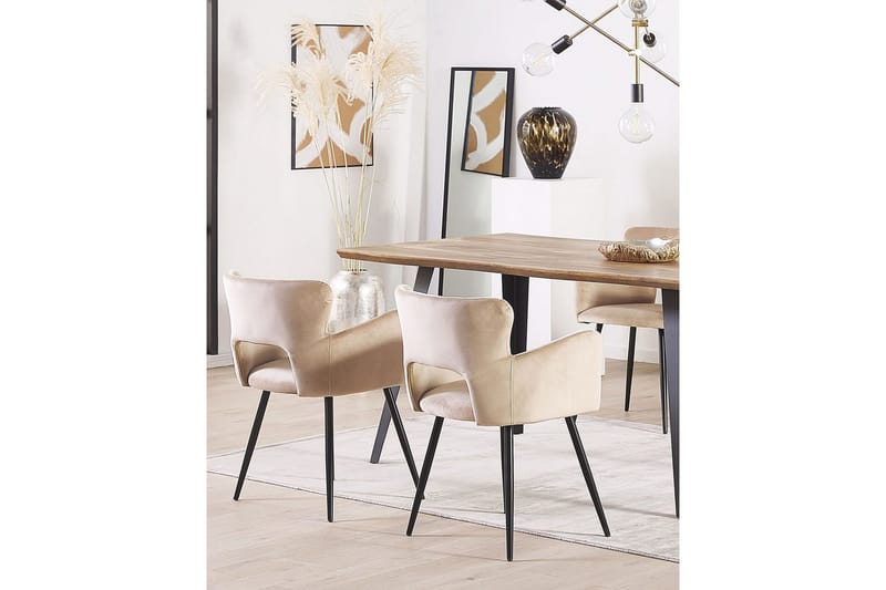 Set med 2 matstolar Sanilac - Beige, svart, Taupe - Möbler - Fåtölj & stolar - Matstol & köksstol