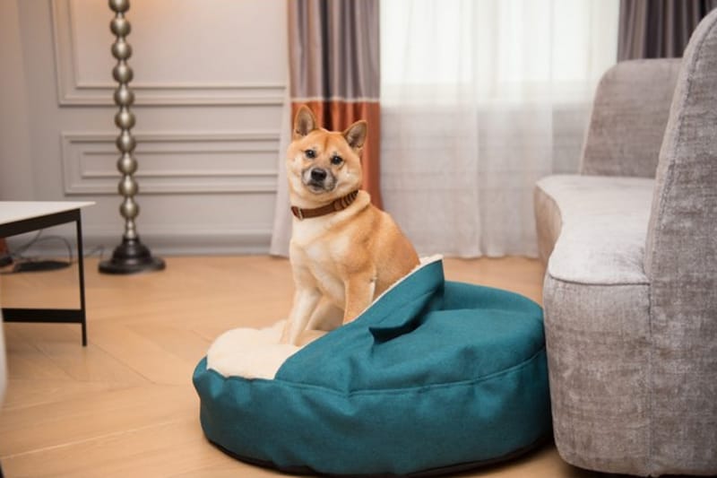 Hund Igloo 55cm Silver Hund Möbler Chilli