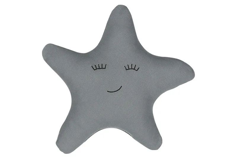 Prydnadskuddar Bhopal