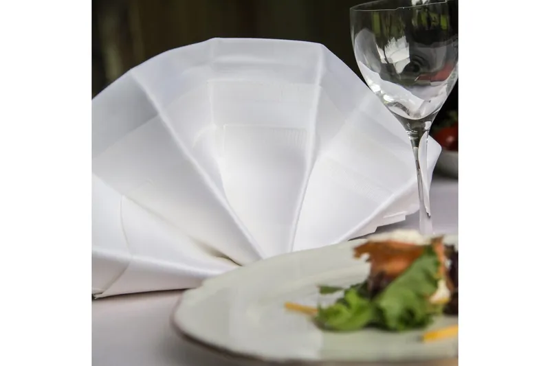 Servett Fritz Magnus Trading Delight 50 x 50 cm Vit - Textil & mattor - Kökstextil