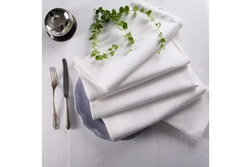 Servett Fritz Magnus Trading Delight 50 x 50 cm Vit - Textil & mattor - Kökstextil