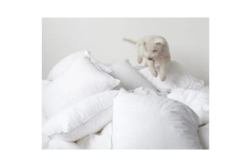 Kudde Hotellkudde - 50 x 60 cm (hög) - Textil & mattor - Sängkläder