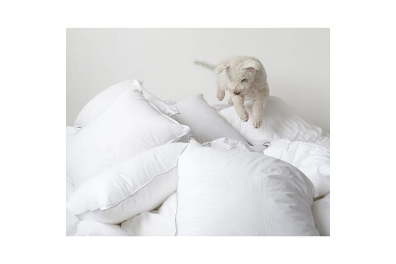 Kudde Hotellkudde - 50 x 60 cm (hög) - Textil & mattor - Sängkläder