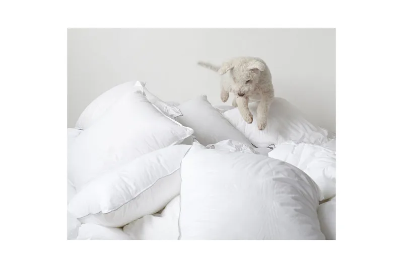 Kudde Hotellkudde - 50 x 60 cm (mellanhög) - Textil & mattor - Sängkläder