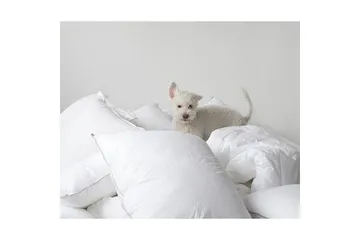 Kudde Hotellkudde - 50 x 70 cm - Textil & mattor - Sängkläder