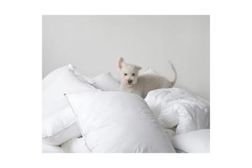 Kudde Hotellkudde - 50 x 70 cm - Textil & mattor - Sängkläder