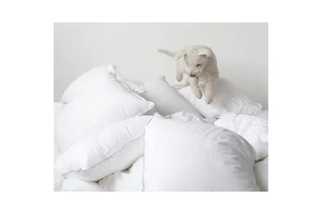 Kudde Hotellkudde - 50 x 90 cm - Textil & mattor - Sängkläder