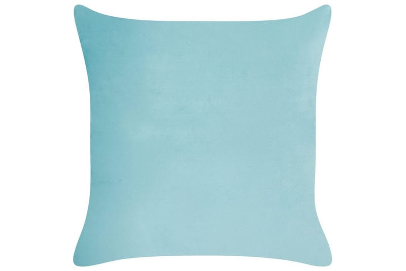 Prydnadskuddar Allium set om 2 - Textil & mattor - Kudde & kuddfodral - Prydnadskudde & soffkudde