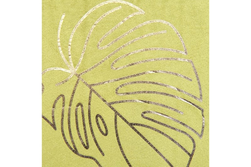 Prydnadskuddar Deliciosa set om 2 Ljusgrön/guld - Ljusgrön/guld - Textil & mattor - Kudde & kuddfodral - Prydnadskudde & soffkudde