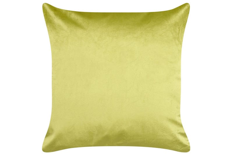 Prydnadskuddar Deliciosa set om 2 Ljusgrön/guld - Ljusgrön/guld - Textil & mattor - Kudde & kuddfodral - Prydnadskudde & soffkudde