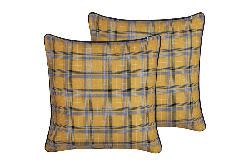 Prydnadskuddar Dicentra set om 2