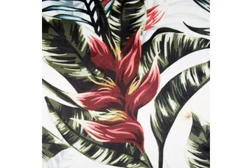 Prydnadskuddar Edelweiss set om 2 - Textil & mattor - Kudde & kuddfodral - Prydnadskudde & soffkudde