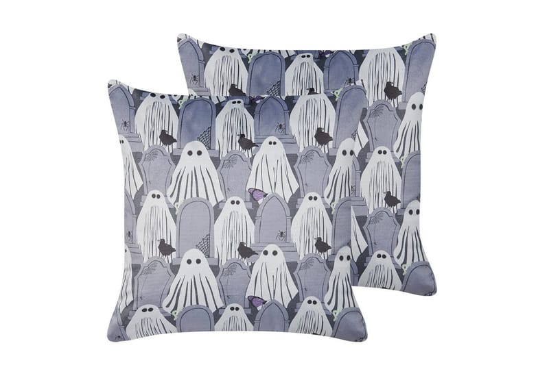 Prydnadskuddar Fanate set om 2