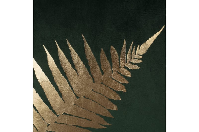 Prydnadskuddar Fern set om 2 - Textil & mattor - Kudde & kuddfodral - Prydnadskudde & soffkudde