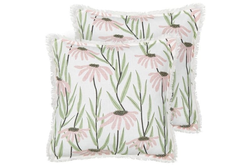 Prydnadskuddar Gynura set om 2