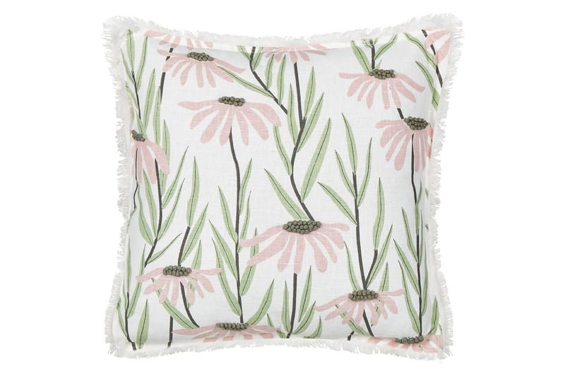 Prydnadskuddar Gynura