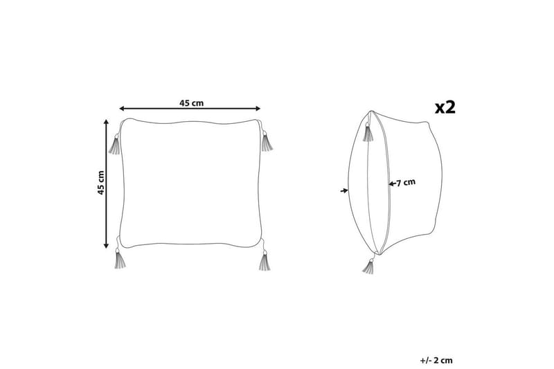 Prydnadskuddar Liriope set om 2 Fyrkantig - Fyrkantig - Textil & mattor - Kudde & kuddfodral - Prydnadskudde & soffkudde