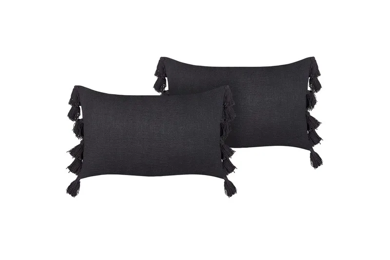 Prydnadskuddar Lythrum set om 2