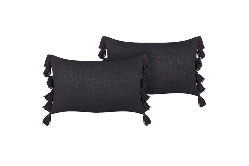 Prydnadskuddar Lythrum set om 2