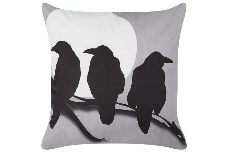 Prydnadskuddar Oradea