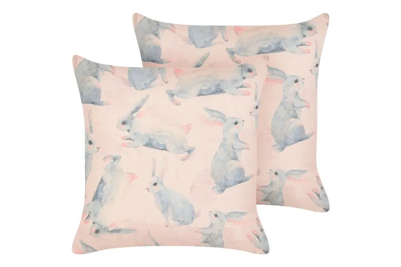 Prydnadskuddar Ratibida set om 2